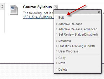 Edit Course Syllabus